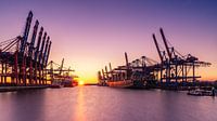 Hamburg container terminal