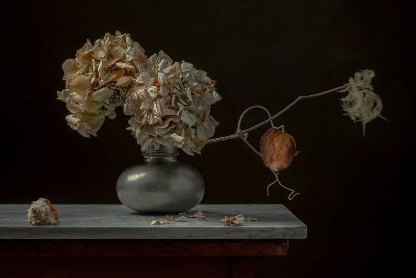 Stilleven ‘Hortensias’ van Willy Sengers