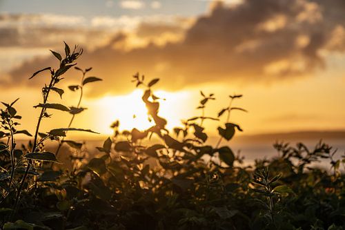 Børkop Denemarken zonsonder.