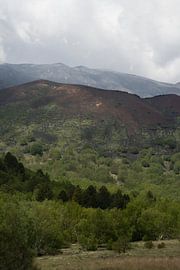 Cloudy by Michelle van Merrienboer