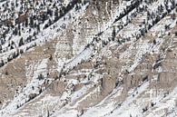Snow-covered cliff; Snow-covered cliff by Caroline Piek thumbnail
