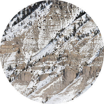 Besneeuwde rotswand in de winter in Yellowstone van Caroline Piek