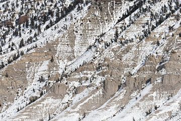 Besneeuwde rotswand in de winter in Yellowstone van Caroline Piek