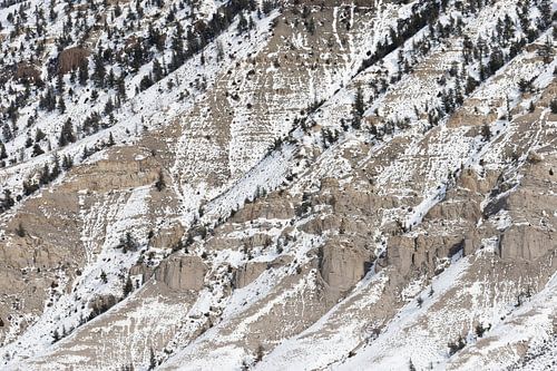 Besneeuwde rotswand in de winter in Yellowstone