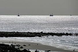 Plage près de Huisduinen