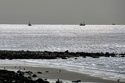 Plage près de Huisduinen