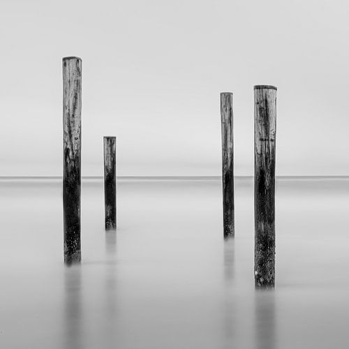 Palendorp Petten - 2