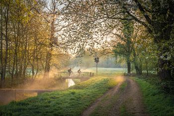 Ochtendgloren tussen de velden