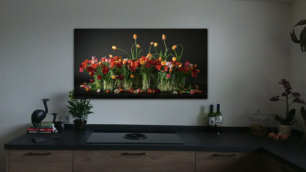 Tulipes des Pays-Bas, par Dirk Verwoerd