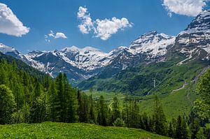 Alpen in Österreich im Frühling