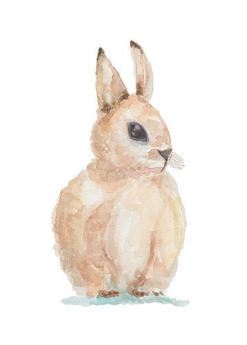 Hand painted watercolour of brown rabbit with white isolated background