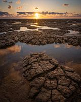 Mud cracks by the Wadden Sea