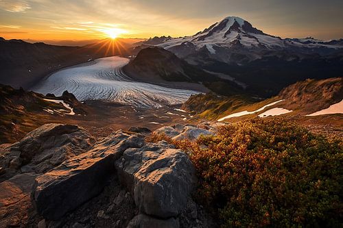 Secrets of the landscape