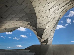 Musée des Confluences Lyon (musée) sur Desiree Tibosch