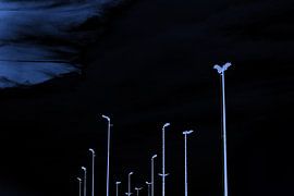 Wees licht van Willem  Overkleeft