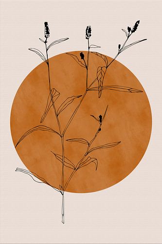 Japandi botanische bloem op terra no. 4