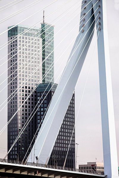 Erasmus Bridge by Rob Boon