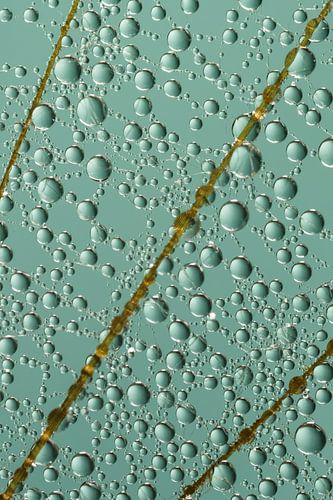 Abstracte close-up uit de natuur