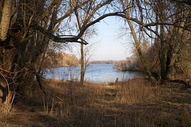 Water doorkijkje van Edward fotografie