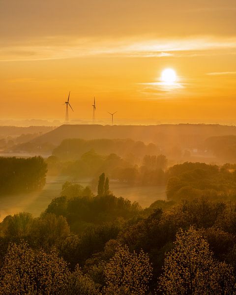 Niederrhein, Rhénanie-du-Nord-Westphalie, Allemagne par Alexander Ludwig