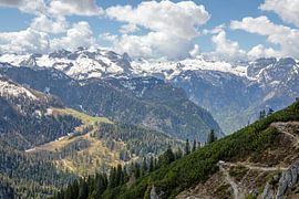 Panorama des Alpes sur t.ART