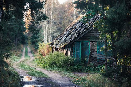 Het Vergeten Pad – Verlaten Blokhut in het Bos