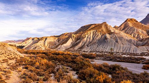 Desert landscape in southern Spain 5/5