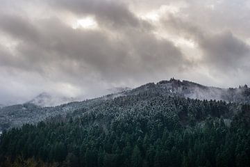 Winterlandschap met besneeuwde bomen in de ongerepte natuur van adventure-photos