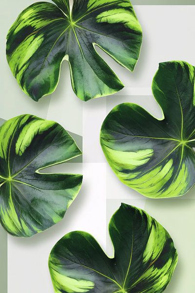 Modern botanical art poster by Art & Soul Creations