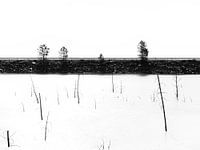 Paysage en noir et blanc