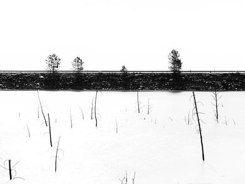 Zwart wit landschap