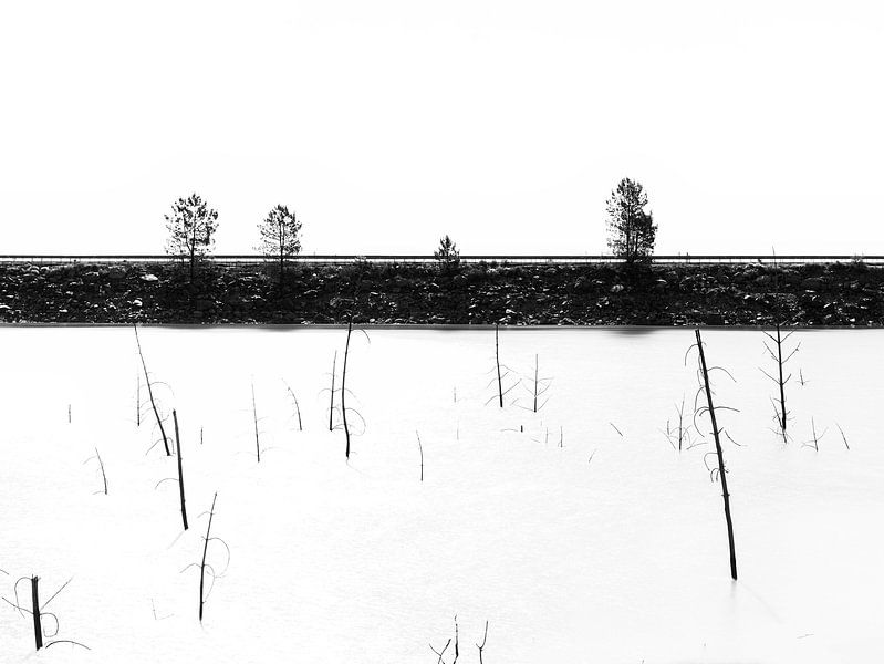Paysage en noir et blanc par Esther Bakker-van Aalderen