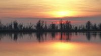 Zonsondergang vanuit de Kluut - Oostvaardersplassen