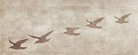 Bird painting by Modern Collection