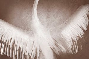 Grâce céleste Ailes élégantes en teintes sépia