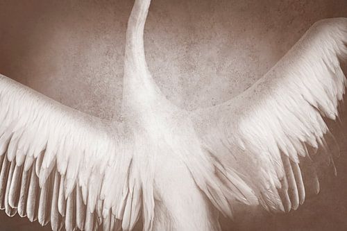 Hemelse Gratie Elegante Vleugels in Sepiatinten