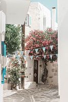 Grieks straatje met bougainvillea en vlaggetjes | fine art fotoprint