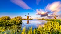 kinderdijk in de zomer