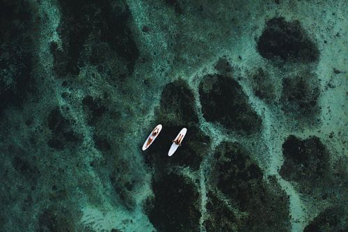 REEF JOY