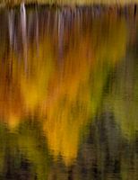 Reflectie van herfstkleuren in Noorwegen
