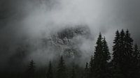 Rock wall and Fog - 2024