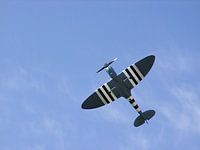 Spitfire 