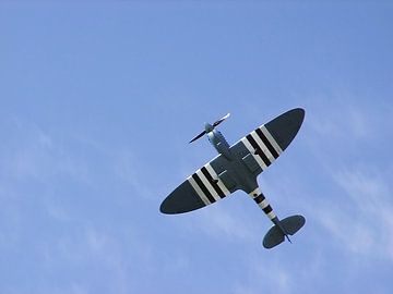 Spitfire  van Pim Feijen