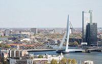 The Erasmus Bridge in Rotterdam by MS Fotografie | Marc van der Stelt thumbnail