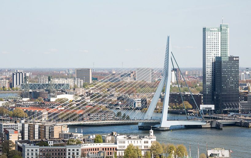 The Erasmus Bridge in Rotterdam by MS Fotografie | Marc van der Stelt