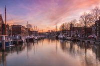 Wijnhaven in Dordrecht