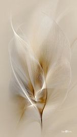 blanc et or - fleurs et plumes sur Gelissen Artworks