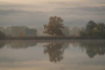 Herbstliche Betrachtungen an einem nebligen Sonntag
