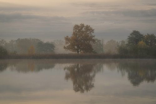 Autumn reflection on a misty Sunday