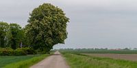 Groningen